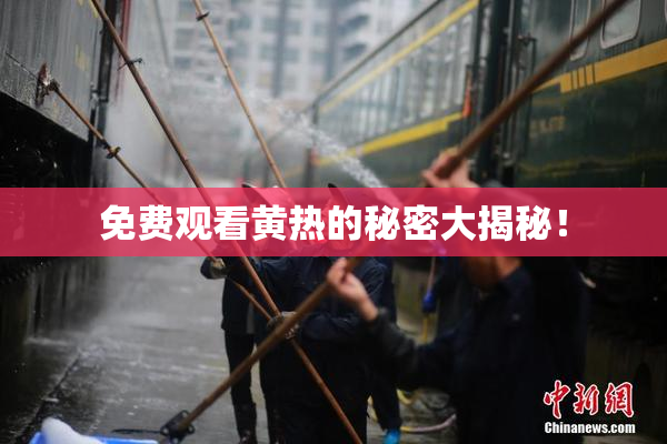 免费观看黄热的秘密大揭秘！
