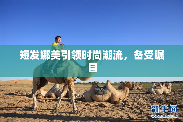 短发娜美引领时尚潮流，备受瞩目