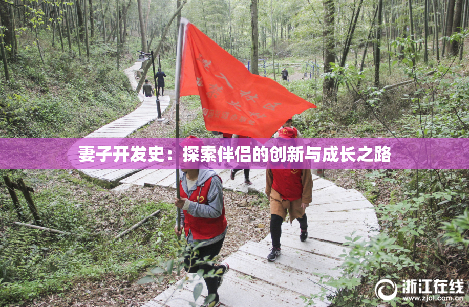 妻子开发史：探索伴侣的创新与成长之路