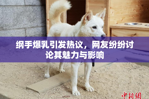 纲手爆乳引发热议，网友纷纷讨论其魅力与影响