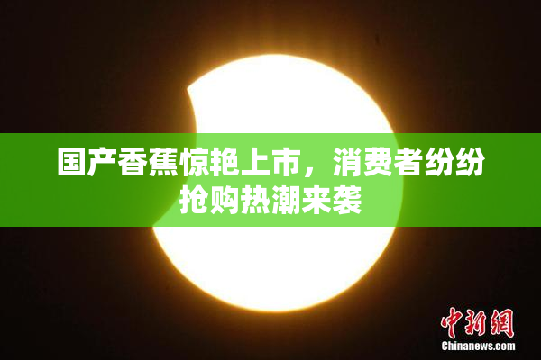 国产香蕉惊艳上市，消费者纷纷抢购热潮来袭