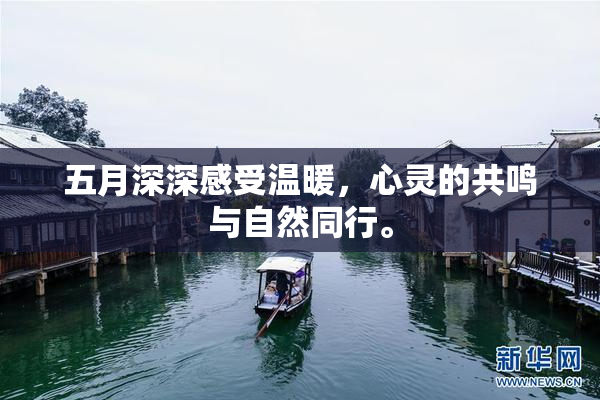 五月深深感受温暖，心灵的共鸣与自然同行。