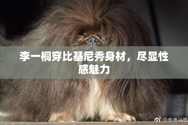 李一桐穿比基尼秀身材，尽显性感魅力