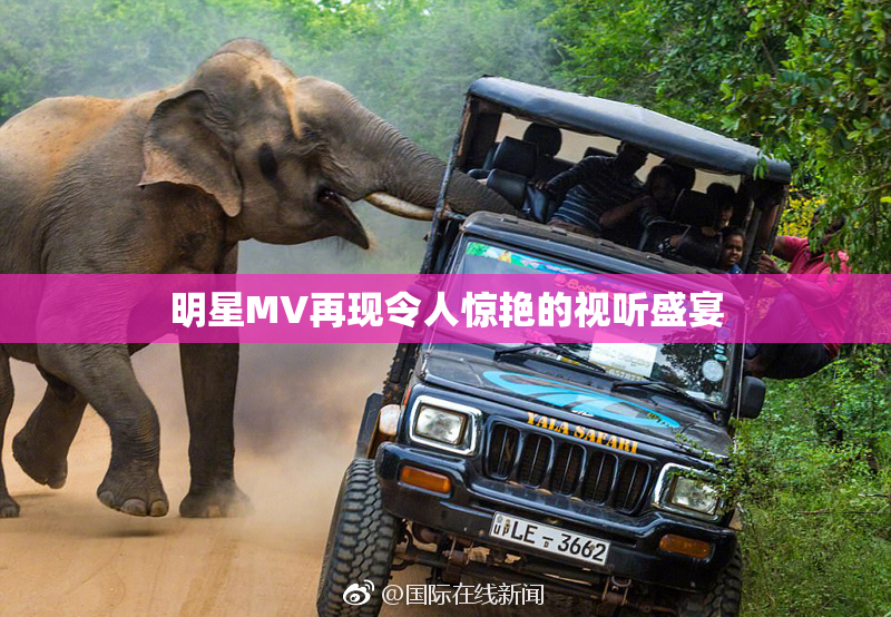 明星MV再现令人惊艳的视听盛宴