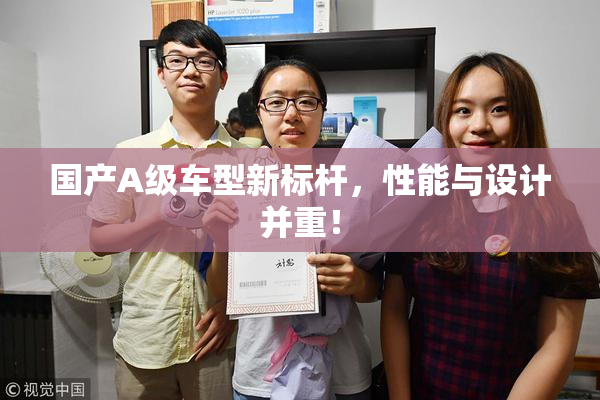 国产A级车型新标杆，性能与设计并重！