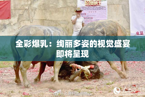 全彩爆乳：绚丽多姿的视觉盛宴即将呈现