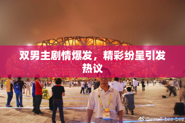 双男主剧情爆发，精彩纷呈引发热议