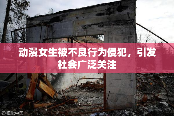 动漫女生被不良行为侵犯，引发社会广泛关注