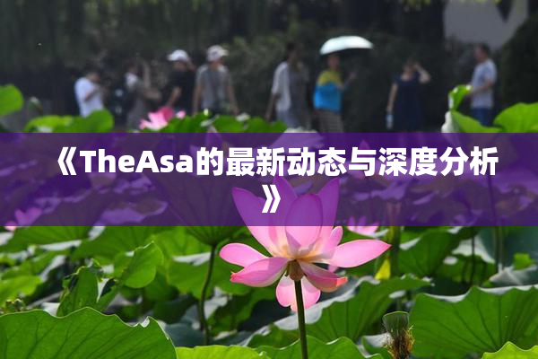 《TheAsa的最新动态与深度分析》