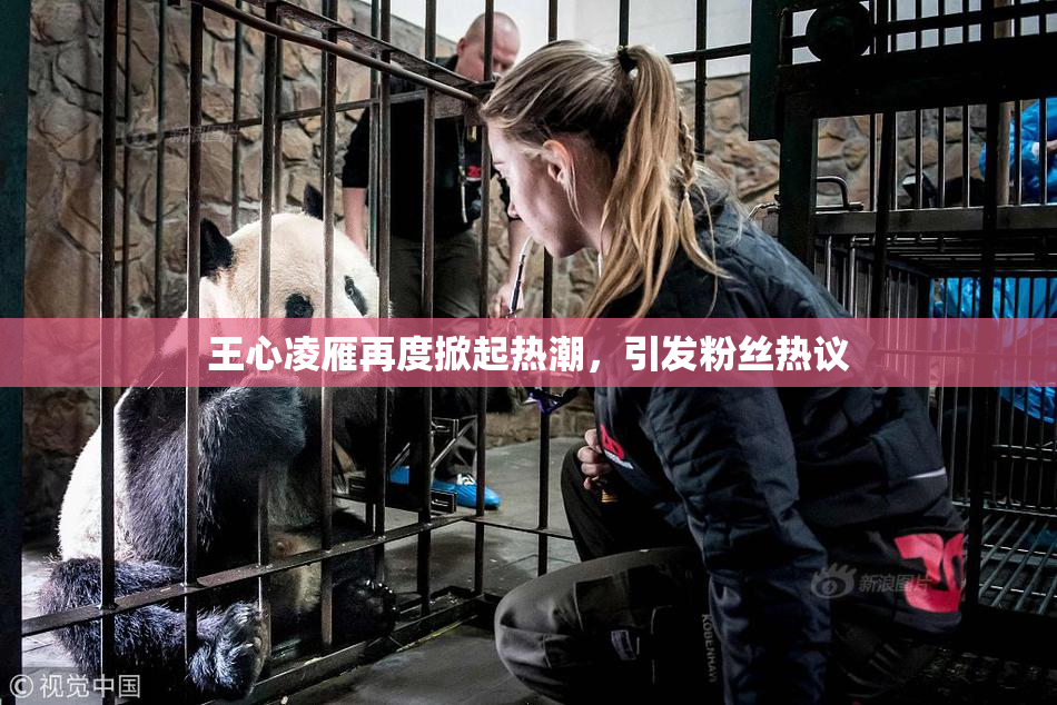 王心凌雁再度掀起热潮，引发粉丝热议