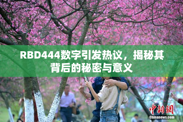 RBD444数字引发热议，揭秘其背后的秘密与意义