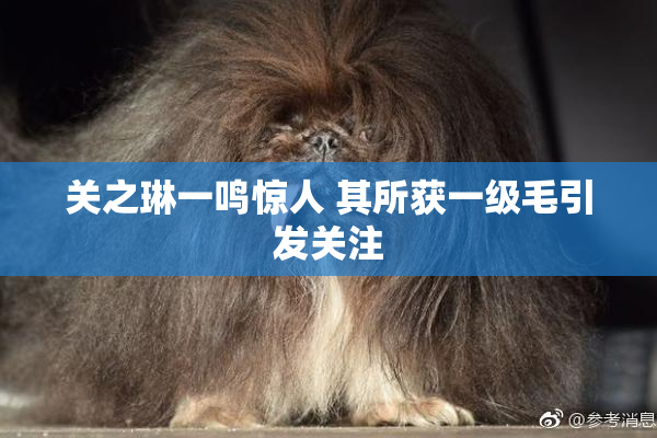 关之琳一鸣惊人 其所获一级毛引发关注