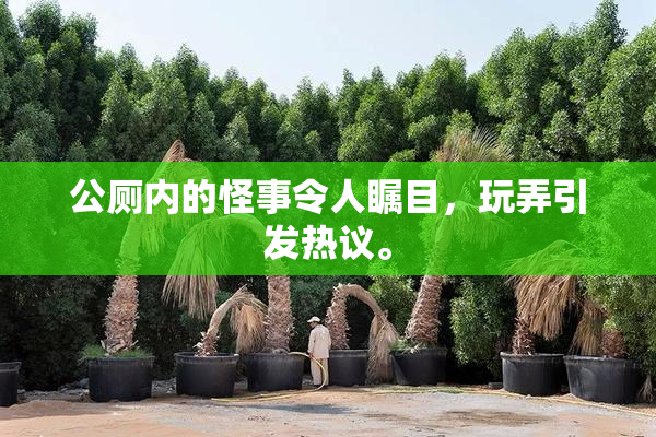 公厕内的怪事令人瞩目，玩弄引发热议。