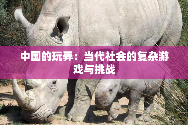 中国的玩弄：当代社会的复杂游戏与挑战