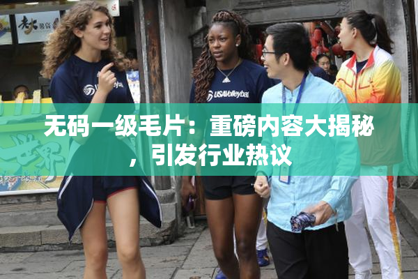 无码一级毛片：重磅内容大揭秘，引发行业热议