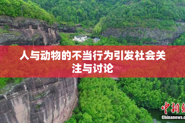 人与动物的不当行为引发社会关注与讨论