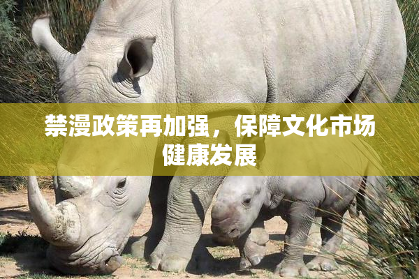 禁漫政策再加强，保障文化市场健康发展