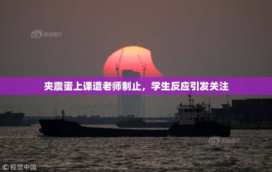 夹震蛋上课遭老师制止，学生反应引发关注