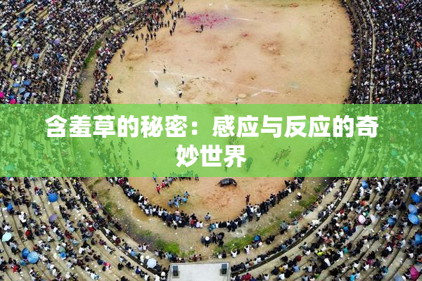含羞草的秘密：感应与反应的奇妙世界