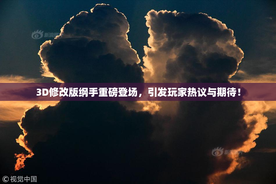 3D修改版纲手重磅登场，引发玩家热议与期待！