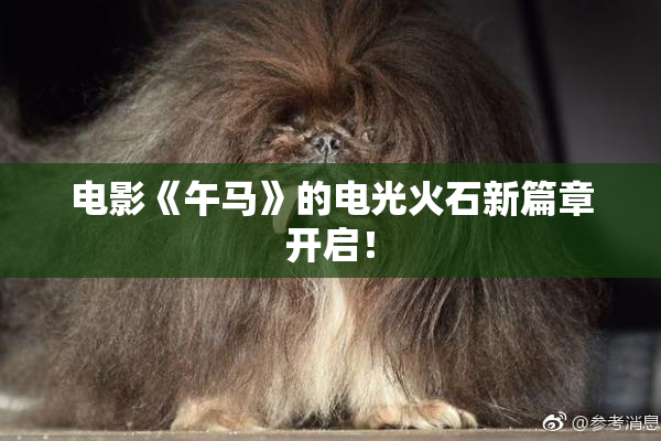 电影《午马》的电光火石新篇章开启！