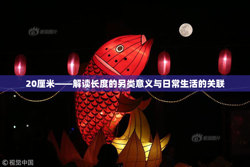20厘米——解读长度的另类意义与日常生活的关联