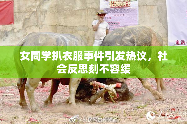 女同学扒衣服事件引发热议，社会反思刻不容缓