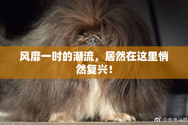 风靡一时的潮流，居然在这里悄然复兴！