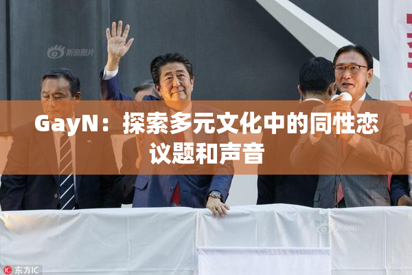 GayN：探索多元文化中的同性恋议题和声音
