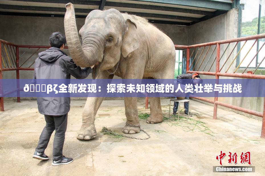 👙βζ全新发现：探索未知领域的人类壮举与挑战