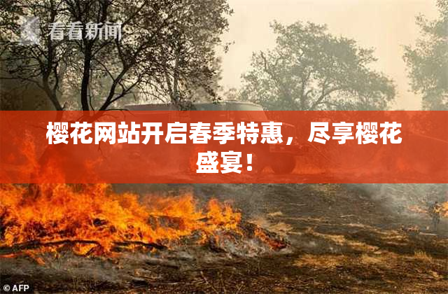 樱花网站开启春季特惠，尽享樱花盛宴！