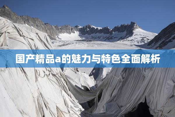 国产精品a的魅力与特色全面解析