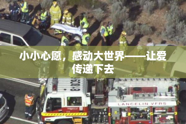 小小心愿，感动大世界——让爱传递下去