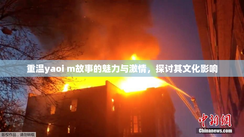 重温yaoi m故事的魅力与激情，探讨其文化影响