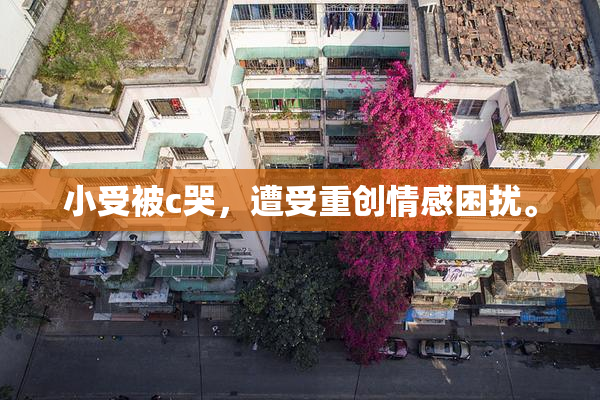 小受被c哭，遭受重创情感困扰。