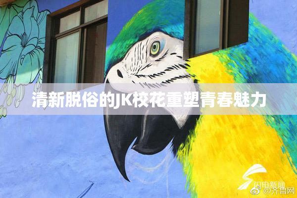 清新脱俗的JK校花重塑青春魅力
