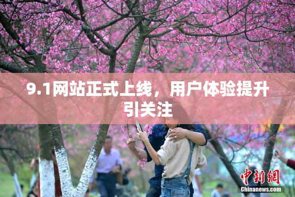 9.1网站正式上线，用户体验提升引关注
