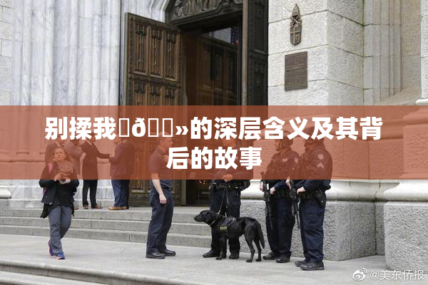 别揉我‌🐻的深层含义及其背后的故事
