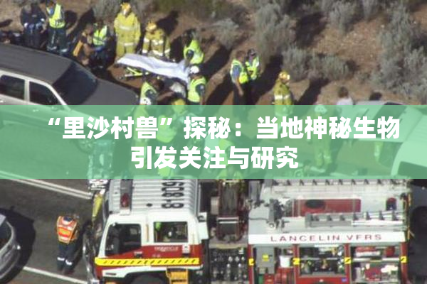 “里沙村兽”探秘：当地神秘生物引发关注与研究