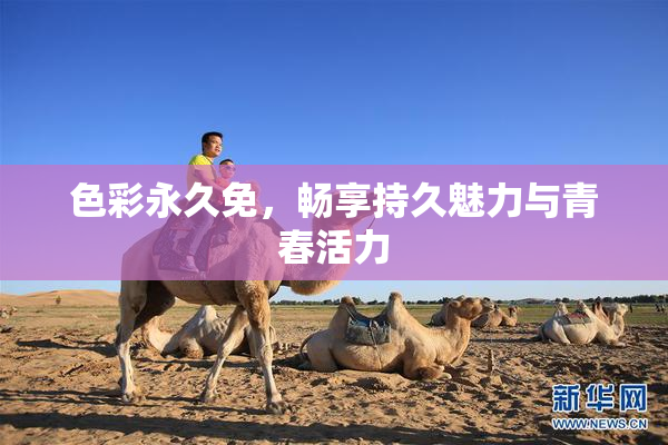 色彩永久免，畅享持久魅力与青春活力