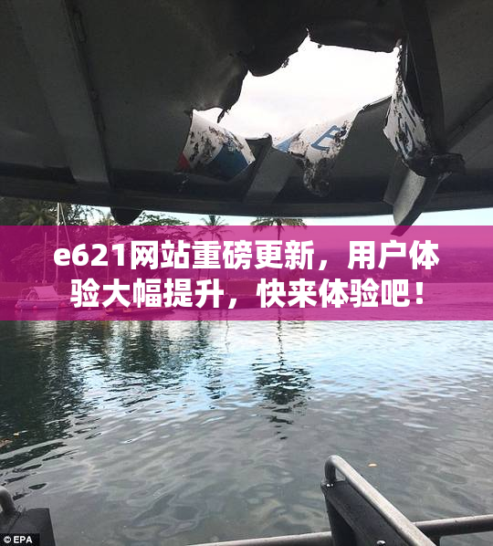 e621网站重磅更新，用户体验大幅提升，快来体验吧！