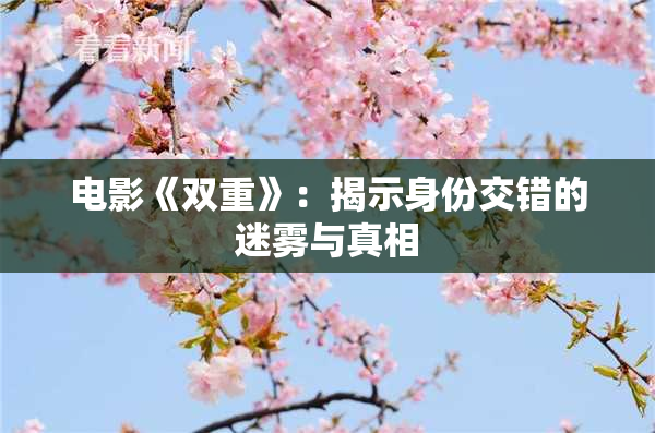 电影《双重》：揭示身份交错的迷雾与真相