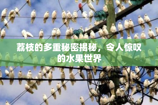 荔枝的多重秘密揭秘，令人惊叹的水果世界