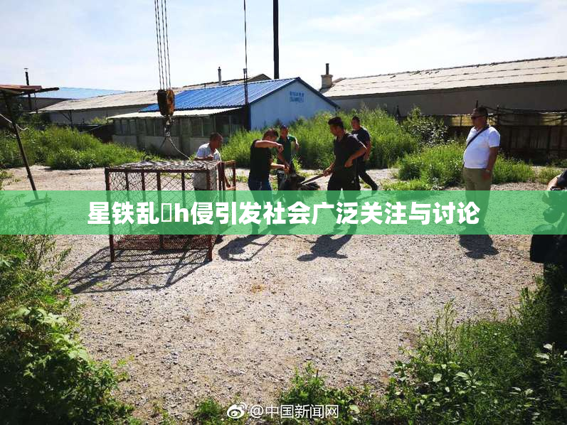 星铁乱婬h侵引发社会广泛关注与讨论