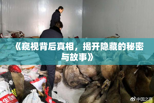 《窥视背后真相，揭开隐藏的秘密与故事》