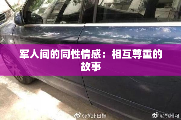 军人间的同性情感：相互尊重的故事