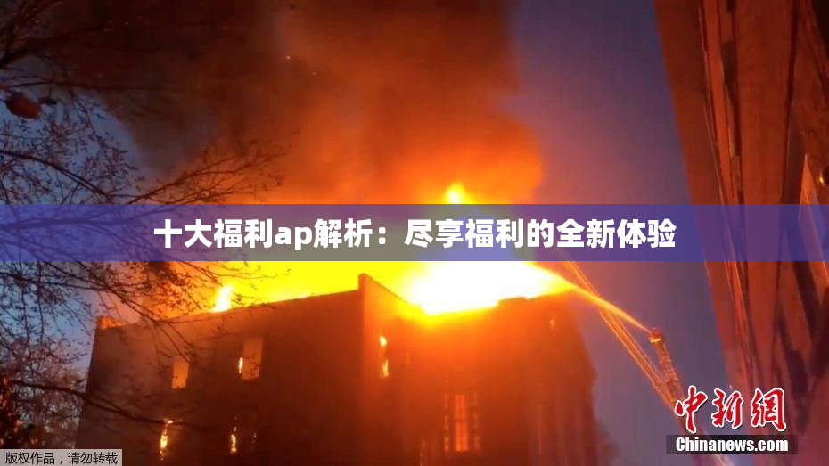 十大福利ap解析：尽享福利的全新体验