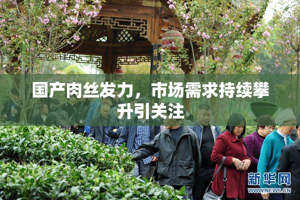 国产肉丝发力，市场需求持续攀升引关注