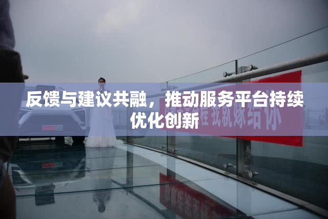 反馈与建议共融，推动服务平台持续优化创新