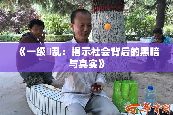 《一级婬乱：揭示社会背后的黑暗与真实》